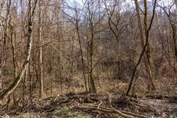 Blackstone Mountain Phase II Tract 64