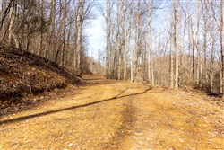 Blackstone Mountain Phase II Tract 66