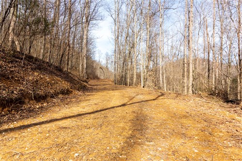 Blackstone Mountain Phase II Tract 66