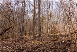 Blackstone Mountain Phase II Tract 66