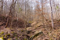 Blackstone Mountain Phase II Tract 66