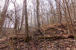 Blackstone Mountain Phase II Tract 66
