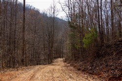 Blackstone Mountain Phase II Tract 66
