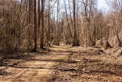 Blackstone Mountain Phase II Tract 68