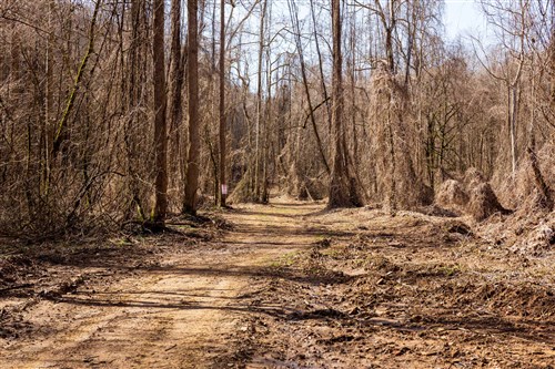 Blackstone Mountain Phase II Tract 68
