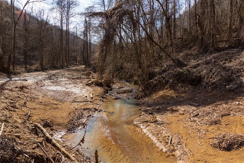 Blackstone Mountain Phase II Tract 68