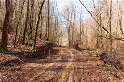 property photo for Blackstone Mountain Phase II Tract 71, 32.4 acres for sale in Clay County, Kentucky
