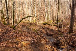 property photo for Blackstone Mountain Phase II Tract 71, 32.4 acres for sale in Clay County, Kentucky
