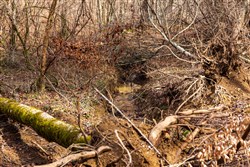 property photo for Blackstone Mountain Phase II Tract 71, 32.4 acres for sale in Clay County, Kentucky