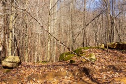 property photo for Blackstone Mountain Phase II Tract 71, 32.4 acres for sale in Clay County, Kentucky