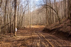 property photo for Blackstone Mountain Phase II Tract 71, 32.4 acres for sale in Clay County, Kentucky