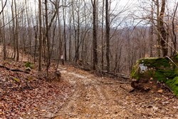 Blackstone Mountain Phase II Tract 76