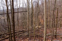 Blackstone Mountain Phase II Tract 76