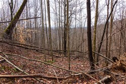 Blackstone Mountain Phase II Tract 76