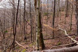 Blackstone Mountain Phase II Tract 76