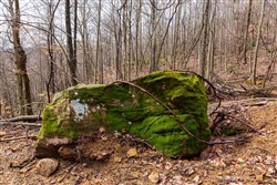 Blackstone Mountain Phase II Tract 76