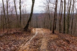 Blackstone Mountain Phase II Tract 77