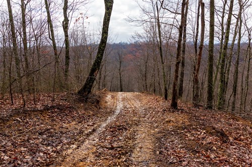 Blackstone Mountain Phase II Tract 77