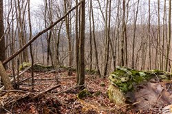Blackstone Mountain Phase II Tract 77