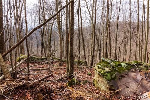 Blackstone Mountain Phase II Tract 77