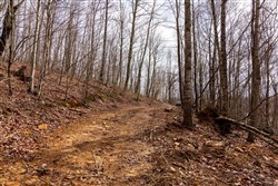 Blackstone Mountain Phase II Tract 77