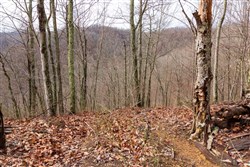Blackstone Mountain Phase II Tract 77