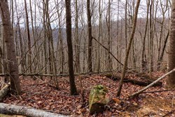 Blackstone Mountain Phase II Tract 77