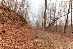 Blackstone Mountain Phase II Tract 78