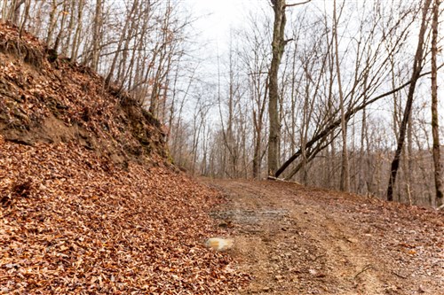 Blackstone Mountain Phase II Tract 78