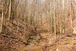 Blackstone Mountain Phase II Tract 78