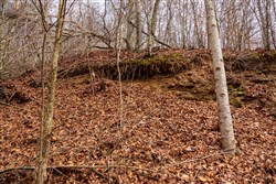 Blackstone Mountain Phase II Tract 78