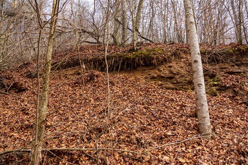 Blackstone Mountain Phase II Tract 78