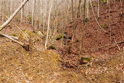 Blackstone Mountain Phase II Tract 78