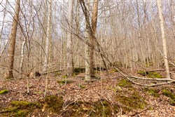 Blackstone Mountain Phase II Tract 78