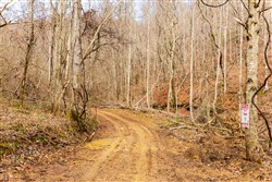 Blackstone Mountain Phase II Tract 79