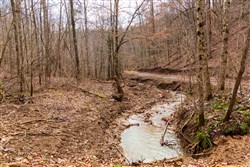 Blackstone Mountain Phase II Tract 79