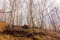 Blackstone Mountain Phase II Tract 79