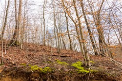 Blackstone Mountain Phase II Tract 79