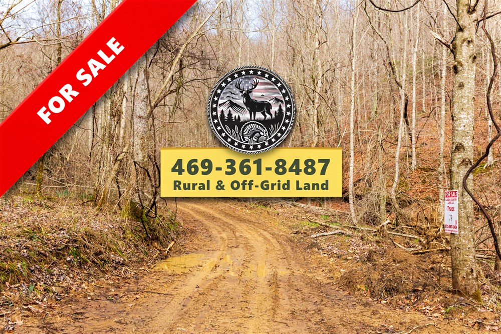 Blackstone Mountain Phase II Tract 79 - Primary