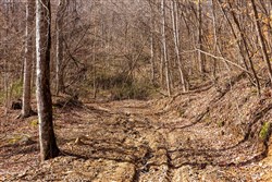 Blackstone Mountain Phase II Tract 81