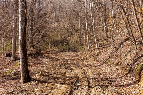 Blackstone Mountain Phase II Tract 81