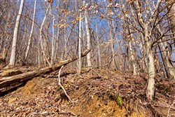 Blackstone Mountain Phase II Tract 81