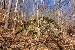 Blackstone Mountain Phase II Tract 81