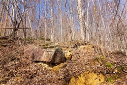 Blackstone Mountain Phase II Tract 81