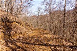 Blackstone Mountain Phase II Tract 81