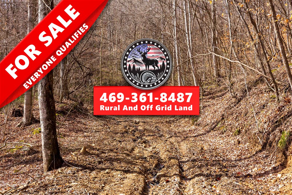 Blackstone Mountain Phase II Tract 81 - Primary