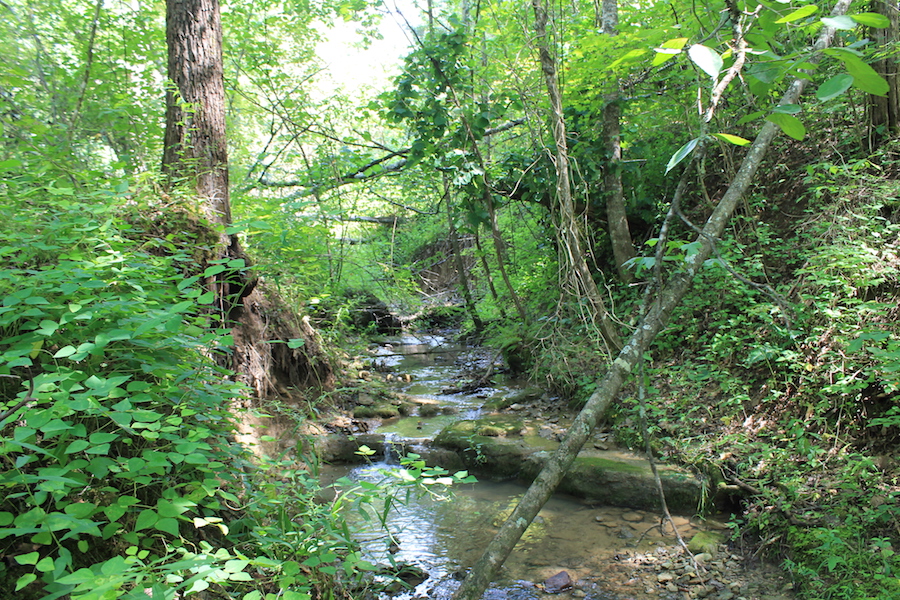Tract 7 at Cumberland Ridge Ranch in Cumberland County, Kentucky