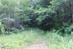 property photo for Cumberland Ridge Ranch Tract 9, 8.22 acres for sale in Cumberland County, Kentucky