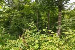 Rivers Edge Tract 13