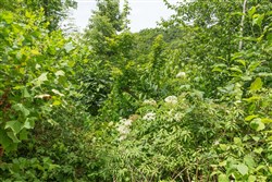 Rivers Edge Tract 13